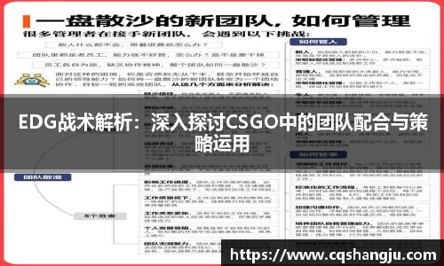 EDG战术解析：深入探讨CSGO中的团队配合与策略运用