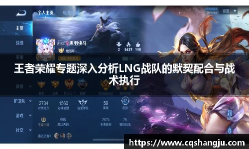 王者荣耀专题深入分析LNG战队的默契配合与战术执行