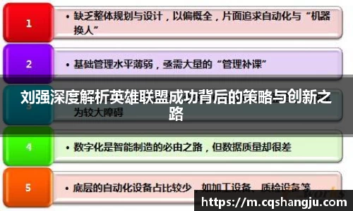 刘强深度解析英雄联盟成功背后的策略与创新之路